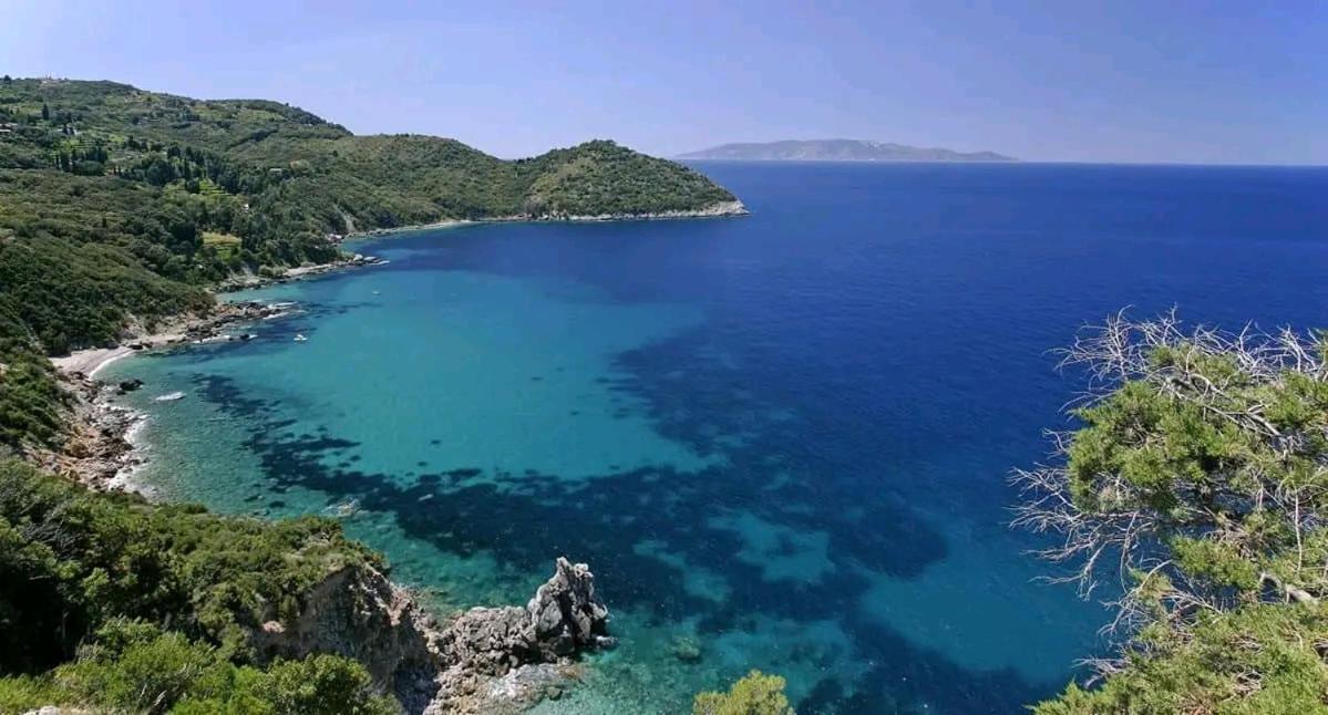Appartamento Al Mare Porto Santo Stefano  Eksteriør billede